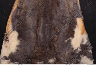 fur 0004